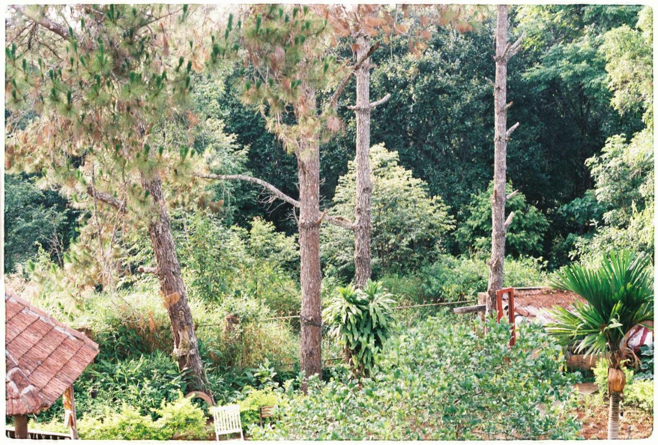 Sum Villa Homestay Mang Den Kon Von Kla Exterior foto
